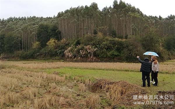 宝山区陈老师带着爱徒寻龙点穴